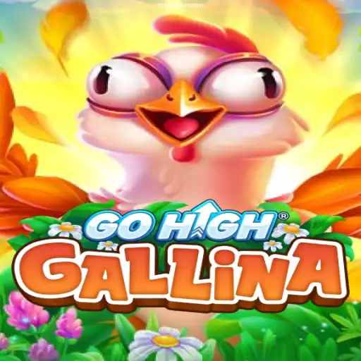 Discover GoHighGallina: An Exciting Online Gaming Experience